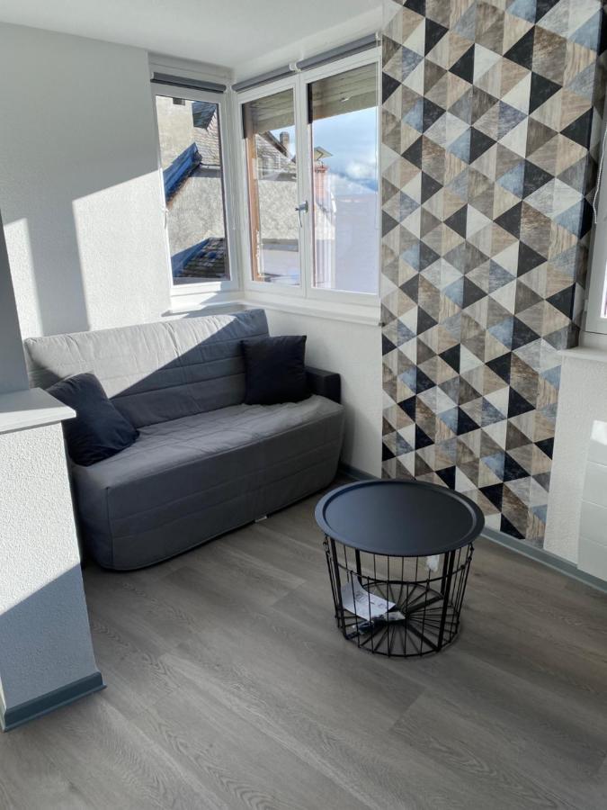 Residence Avec Un T3 Un T2 Et Un Studio En Centre Ville D Argelès-Gazost Exteriör bild
